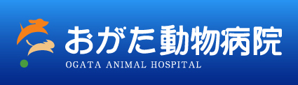 栃木県小山エリアで動物病院をお探しの方は、おがた動物病院まで。