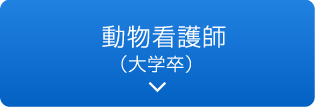 動物看護師（大学卒）